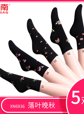 【星南】XN6936女士中筒精梳棉妈妈袜【5双装】