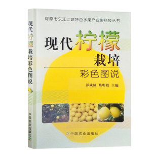 现代柠檬栽培彩色图说 种植柠檬 柠檬种植技术教材  柠檬百科知识 彭成绩 蔡明段