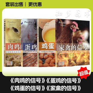 套装 鸡蛋的信号+蛋鸡的信号+肉鸡的信号+家禽的信号