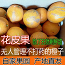 新鲜赣南脐橙榨汁丑橙子花皮果20斤整箱手剥安远信丰寻乌无公害