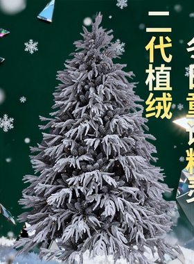 植绒圣诞树老丈人2.1mPE南洋杉北欧ins自带灯全新升级豪华装饰树