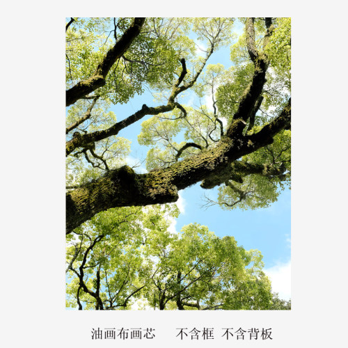 韩式ins大树海报客厅沙发背景装饰画卧室床头挂画背景画 画芯替换