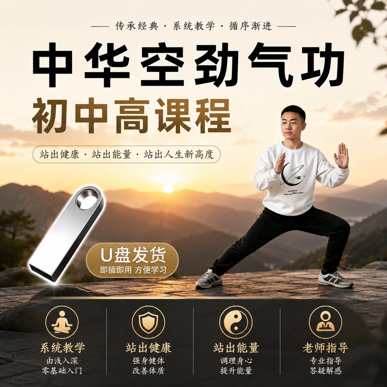中华空劲气功罗汉功站桩视频U盘图片