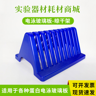 伯乐bio-rad 六一 天能蛋白电泳玻璃板支架 晾干架 干燥架 沥水架