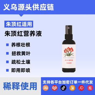 朱顶红营养液养球肥花肥球朱顶红营养液根植物种球开花液体肥