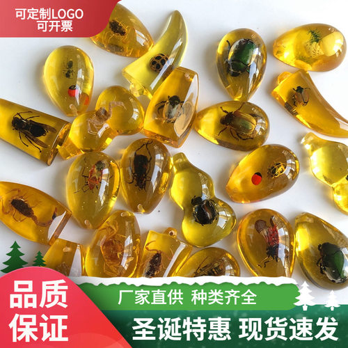 儿童挖掘考古昆虫标本 合成树脂琥珀昆虫 散装水滴盲盒标本现货