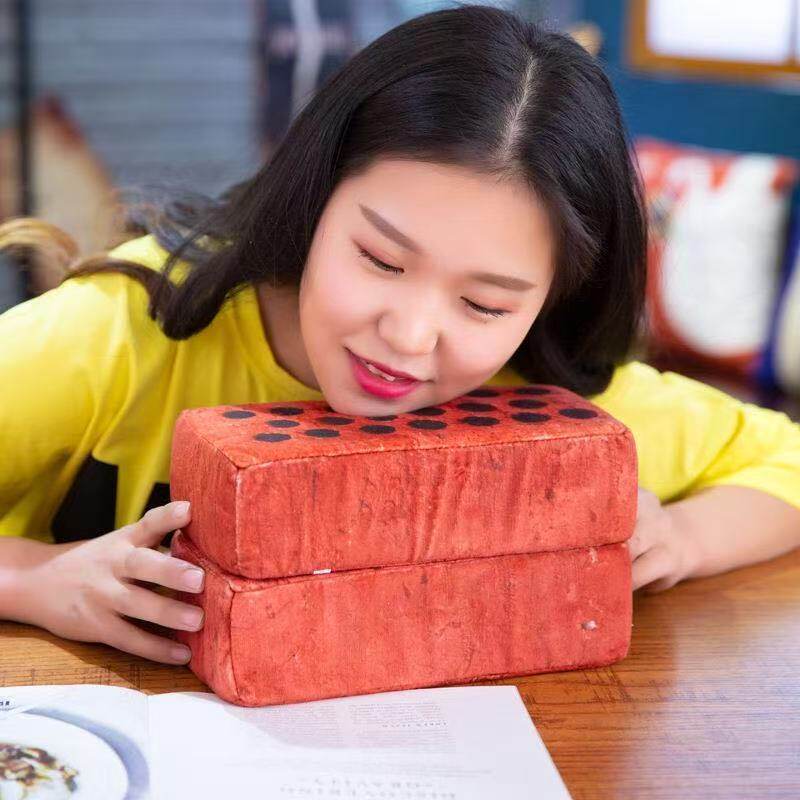 砖治百病板砖抱枕搞笑创意毛绒玩具个性学生午睡枕可照片定制diy - 实物图