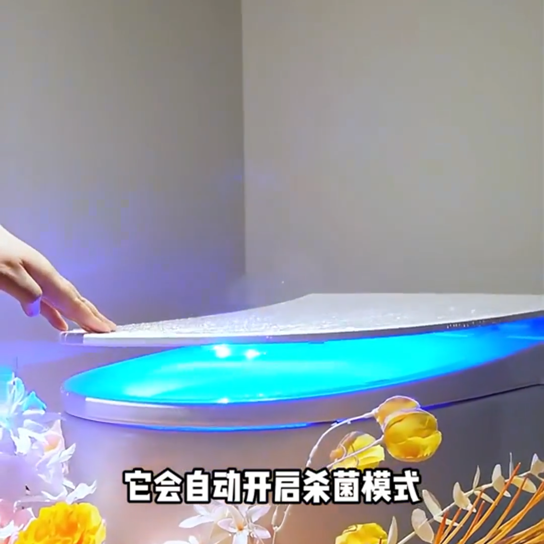 马桶自动杀菌消毒仪智能紫外线感应酒店家用卫生间杀菌消毒器