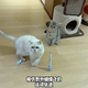 电动吸盘蝴蝶飞飞逗猫棒吸附自嗨神器长杆钢丝杆猫咪互动玩具