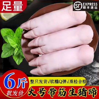 新鲜现杀带筋猪蹄整只批发