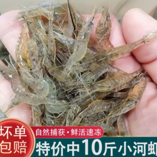 10斤小河虾鲜活冷冻新鲜小白虾青虾淡水虾小明虾鲜虾速冻水产顺丰
