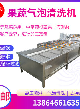 厂家现货东北菇娘果清洗机 全自动柑橘洗果机 大型水果清洗设备