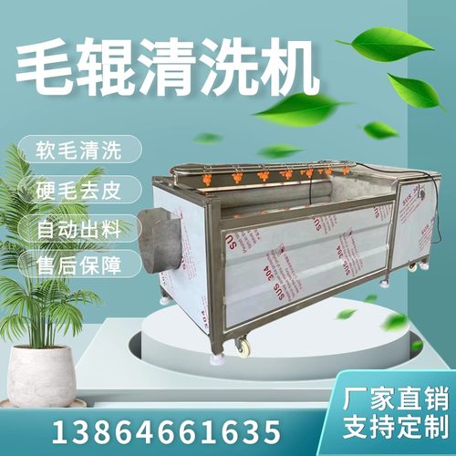 药材毛辊去皮清洗机 萝卜自动去皮设备 自动果蔬酱菜去皮清洗设备