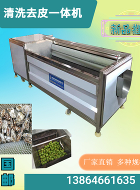 粽叶清洗机全自动毛辊荷叶芦苇叶清洗机菠萝叶双面清洗设备安诺其