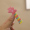 1 set of rose teddy bear colored telephone wire hairpins