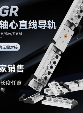 锁紧内置双轴心直线导轨SGR10 15N 20 25 35滑轨滑块光轴摄影导轨