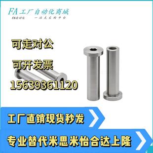 L30 铰链销 内螺纹固定 MIP04 带肩