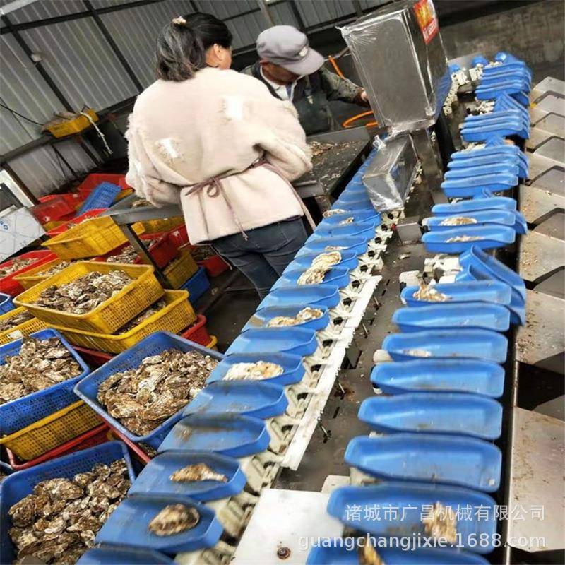 果蔬多级重量分选机芒果料盒式分选机自动苹果分选机