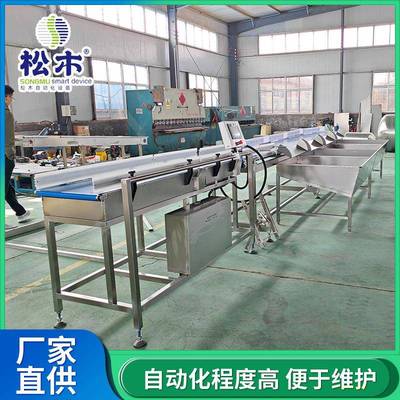 白条鸡白条鸭重量分拣机厂家直供皮带式4级重量分选机