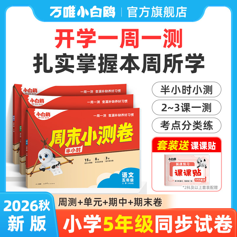 小白鸥五年级周末小测卷图片