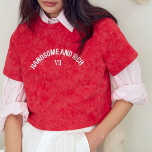 HOWL 小个子潮人必入炒色晕染字母刺绣短款T恤