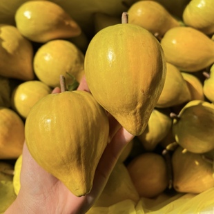 【发黄果 纸箱催熟 软了吃】5斤蛋黄果鸡蛋果粉糯甜 顺丰空运