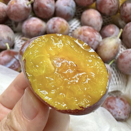 新疆喀什西梅 甜 顺丰｜大小不一 选颜色偏深先吃 冰箱冷藏保存