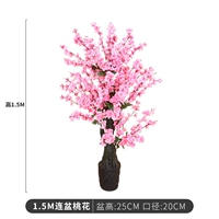 150 см тазовой персиковой цвет (включая горшок)