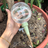 彩色球泡造型滴灌渗水器出差旅游自动滴灌系统植物盆栽洒水滴灌器