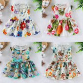 宠物狗狗猫咪衣服立体3D印花卡通图案小中型犬防尘服泰迪比熊博美