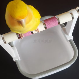 站杆鹦鹉定点排便站架桌面训练厕所专用垃圾桶玄凤鹦鹉拉屎神器