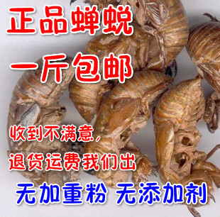 中药材绝不加重水洗 蝉蜕 蝉衣 蝉壳 虫蜕 虫退爬了猴壳500克包