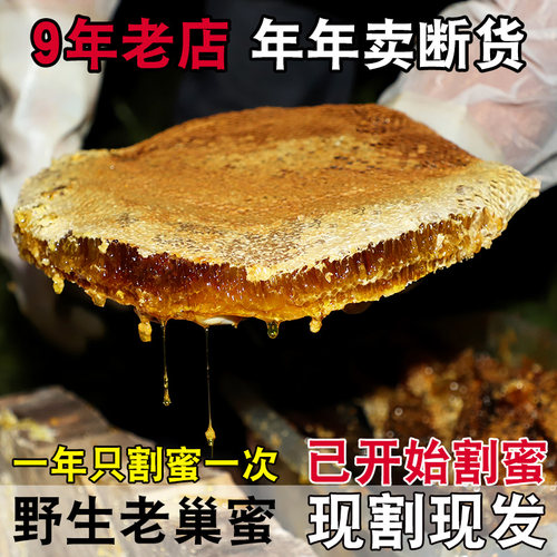 正宗野生蜂巢蜜木桶老巢蜜天然巢