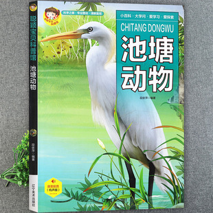 池塘小动物百科全书童眼观世界识天下儿童趣味科普馆绘本常识聪颖宝贝中国少年儿童十万个为什么揭秘动物王国365启蒙早教认知书籍