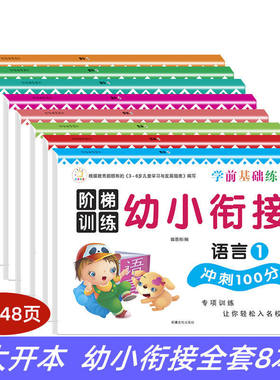 幼小衔接一日一练学前冲刺100分