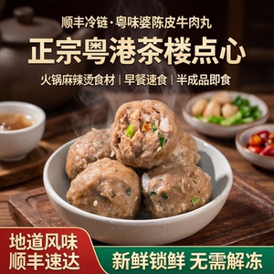 顺丰冷链粤味婆陈皮牛肉丸茶点心