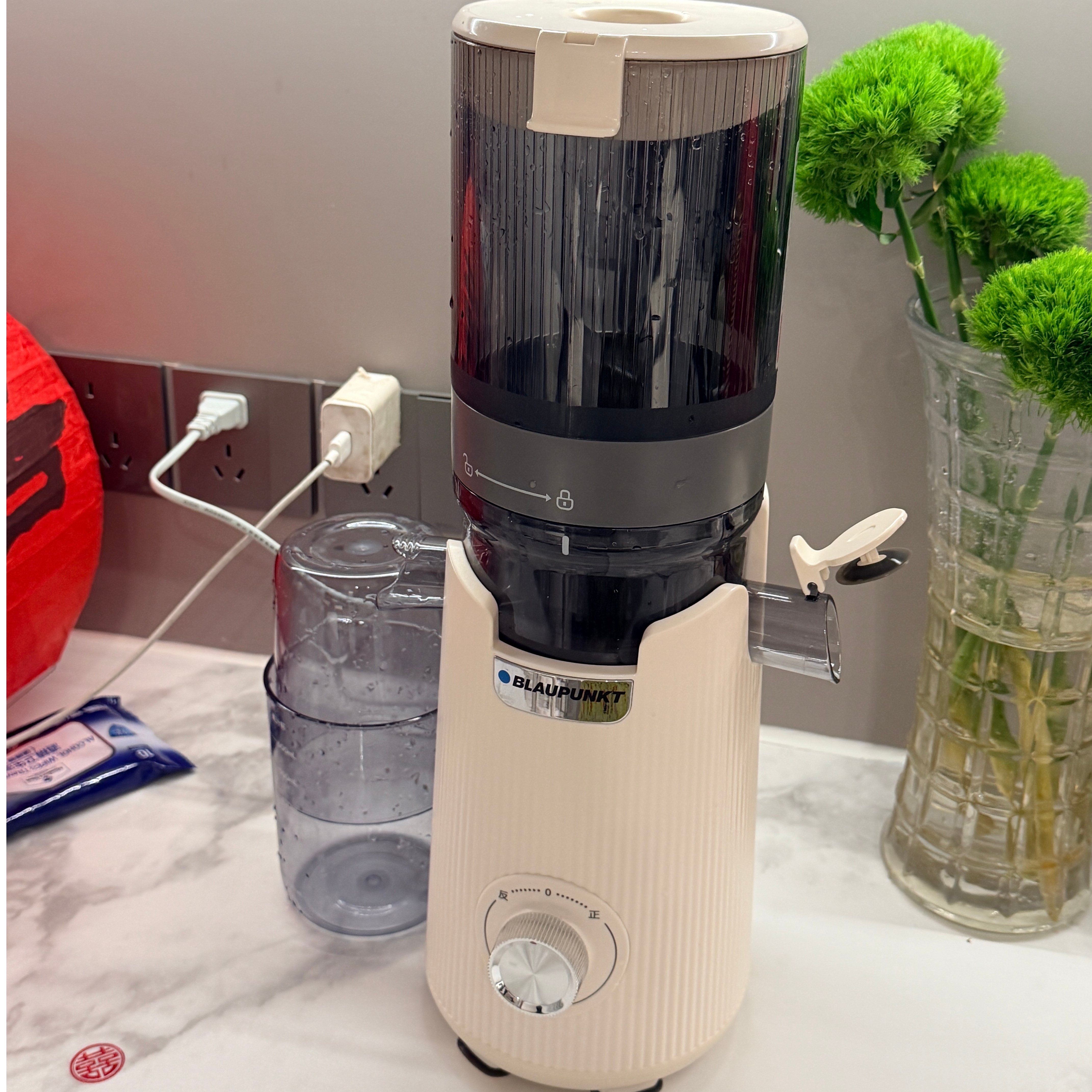 BLAUPUNKT/蓝宝BP-YJ02原汁机渣汁分离榨汁机全自动大口径果汁机