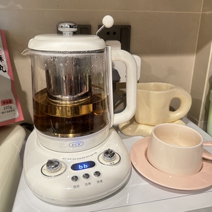 泡茶花茶烧水壶煮茶壶家用炖煮 ECX养生壶多功能办公室玻璃煮茶器