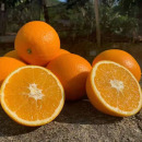 江西特产赣南脐橙寻乌橙子手剥橙新鲜水果全规格净果9斤装 包邮