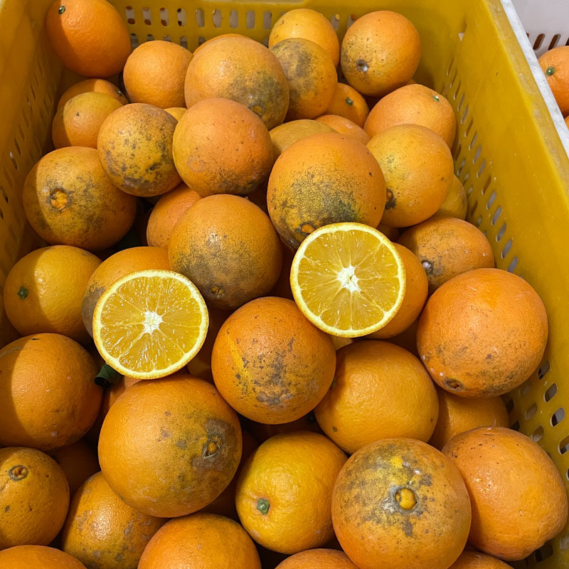 江西赣南脐橙甜橙子新鲜水果现摘包箱20斤丑橙70-90果中大混装,水产肉类/新鲜蔬果/熟食,橙,淘宝优惠券,粉丝福利购,淘宝优惠卷