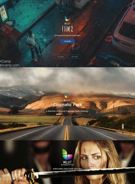 FCPX插件 165个视频电影vlog短片婚礼大气调色预设 mLut个5套预设