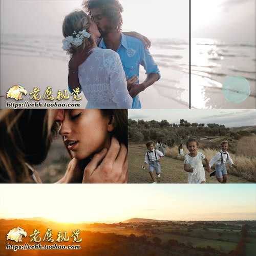 5套大气电影婚礼LUTS视频调色预设5套(AE/Pr/FCPX/达芬奇/PS等)