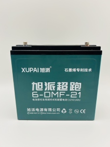 旭派电动车电瓶12v20A