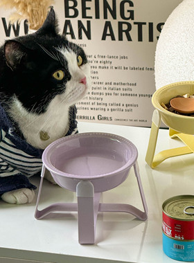 酷彩LeCR系列 宠物碗陶瓷珠点碗防黑下巴粮水飞碟猫咪狗双耳食盘