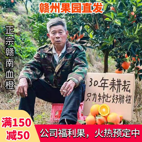 自家果园赣南脐橙赣南脐橙5kg