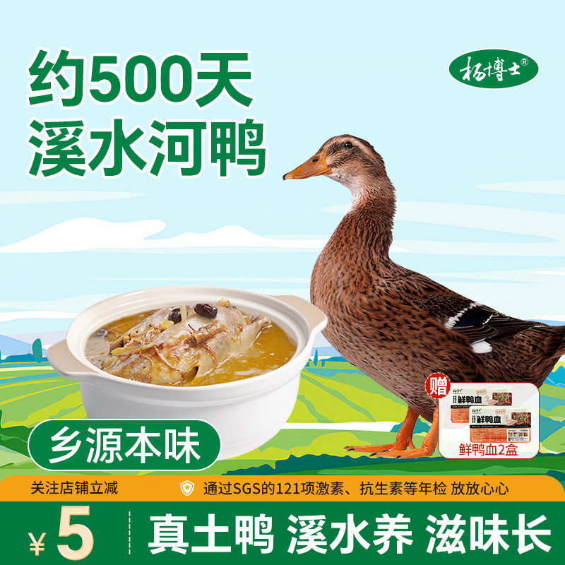杨博士溪水河鸭正宗放养土鸭老鸭子约500天整只鲜鸭炖汤食材