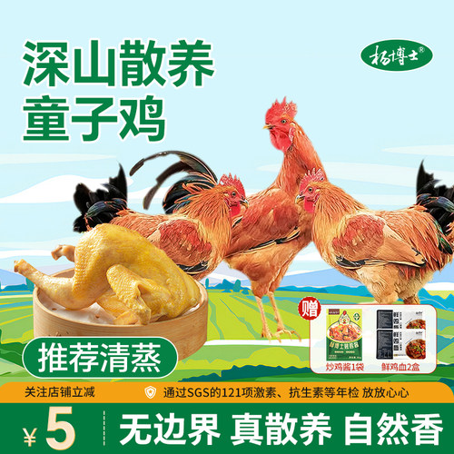 童子鸡农家散养土鸡整只