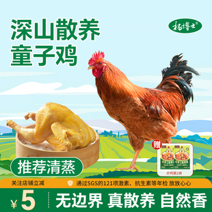 杨博士童子鸡正宗皖南深山散养土鸡小公鸡整只鸡清蒸食材生鲜