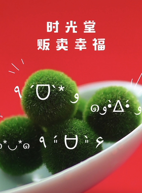 海藻球MARIMO「球藻君」生态瓶微景观迷你绿植物送旅行装日本正品