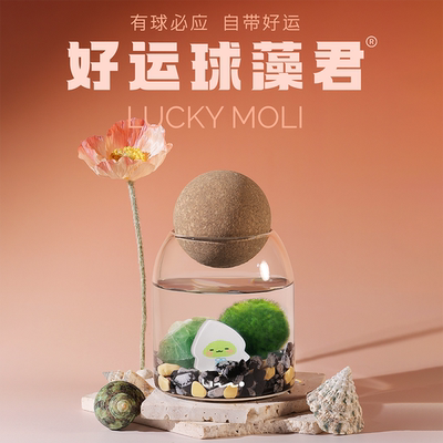 明星同款「有球必应瓶」好运球藻